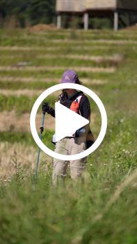 BIB:  <button type="button" onclick="openModal(26787442)" class="btn btn-primary btn-sm float-right" data-toggle="modal" data-target=".modal-high-quality">
                <i class="fa fa-download"></i> Download
                </button>